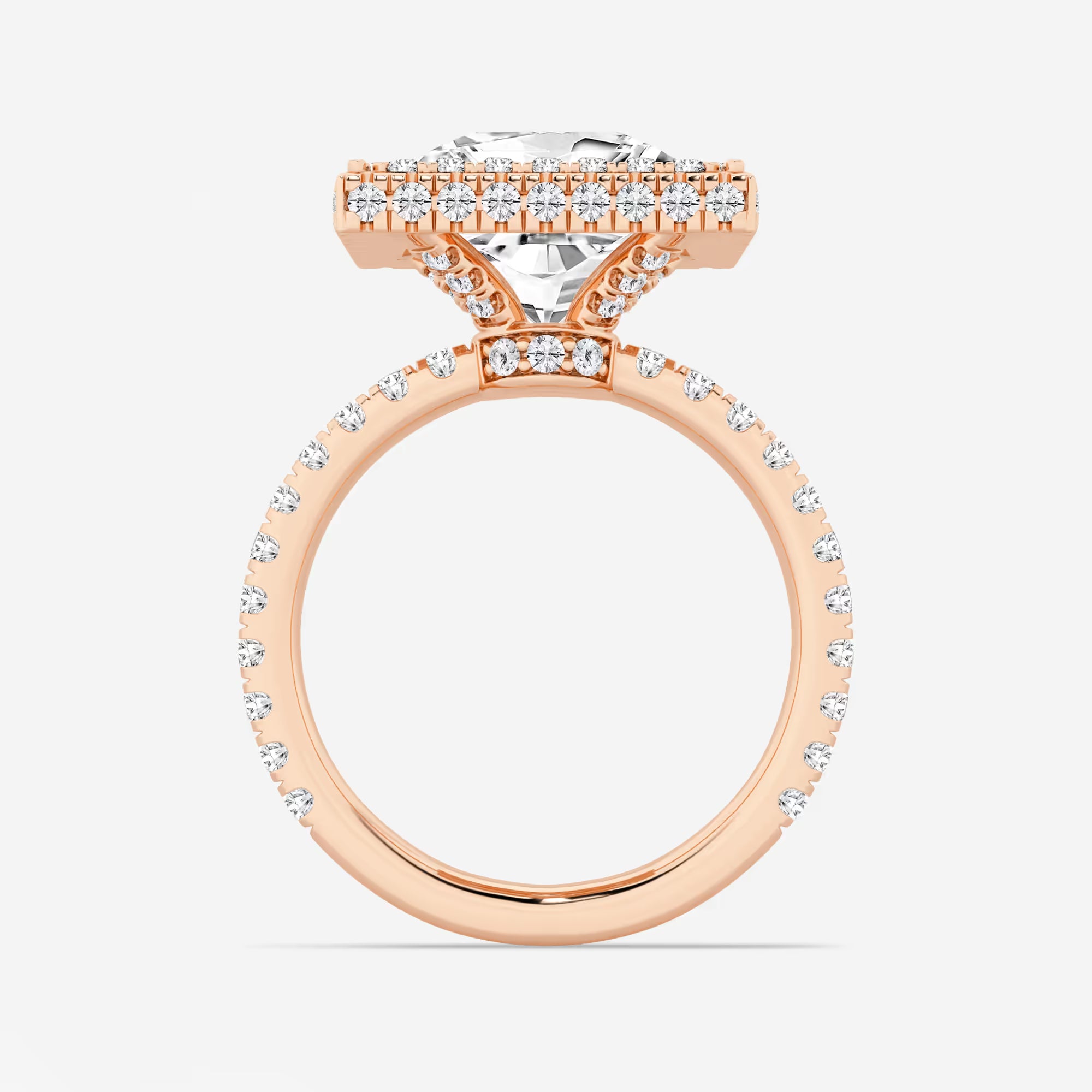 rincess Cut Lab Diamond Double Halo Engagement Ring