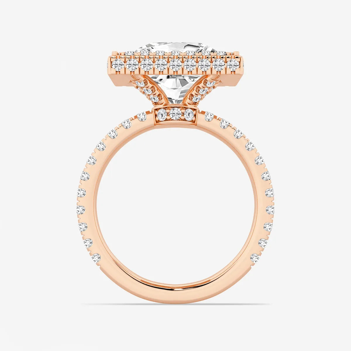 rincess Cut Lab Diamond Double Halo Engagement Ring