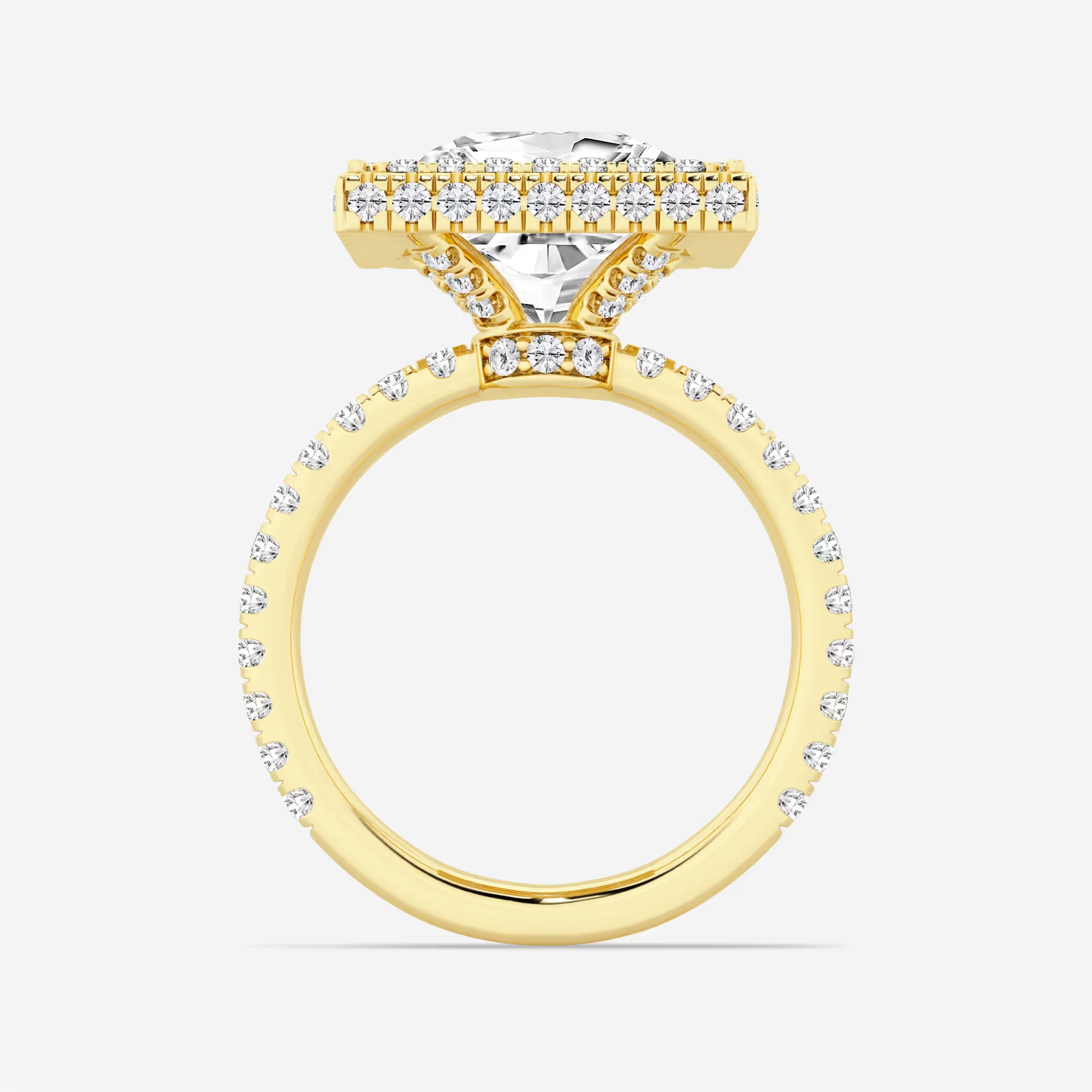 rincess Cut Lab Diamond Double Halo Engagement Ring