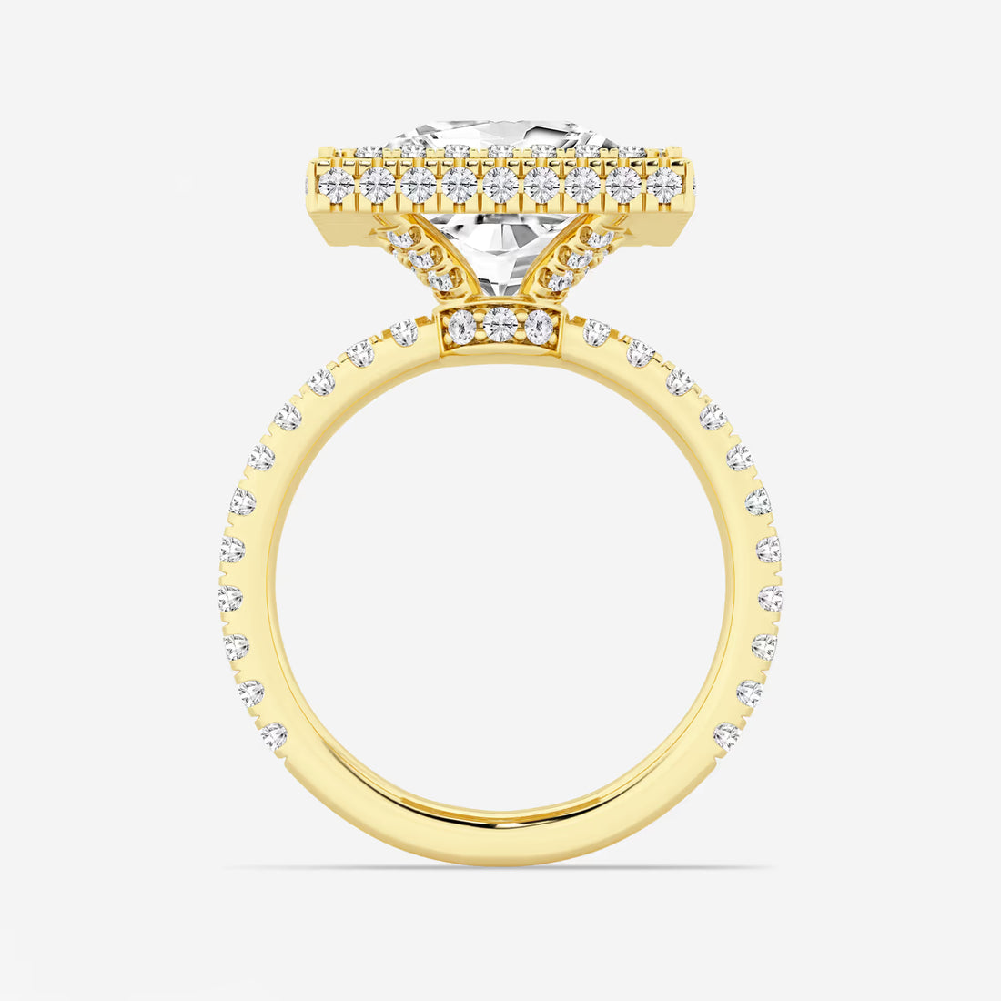 rincess Cut Lab Diamond Double Halo Engagement Ring
