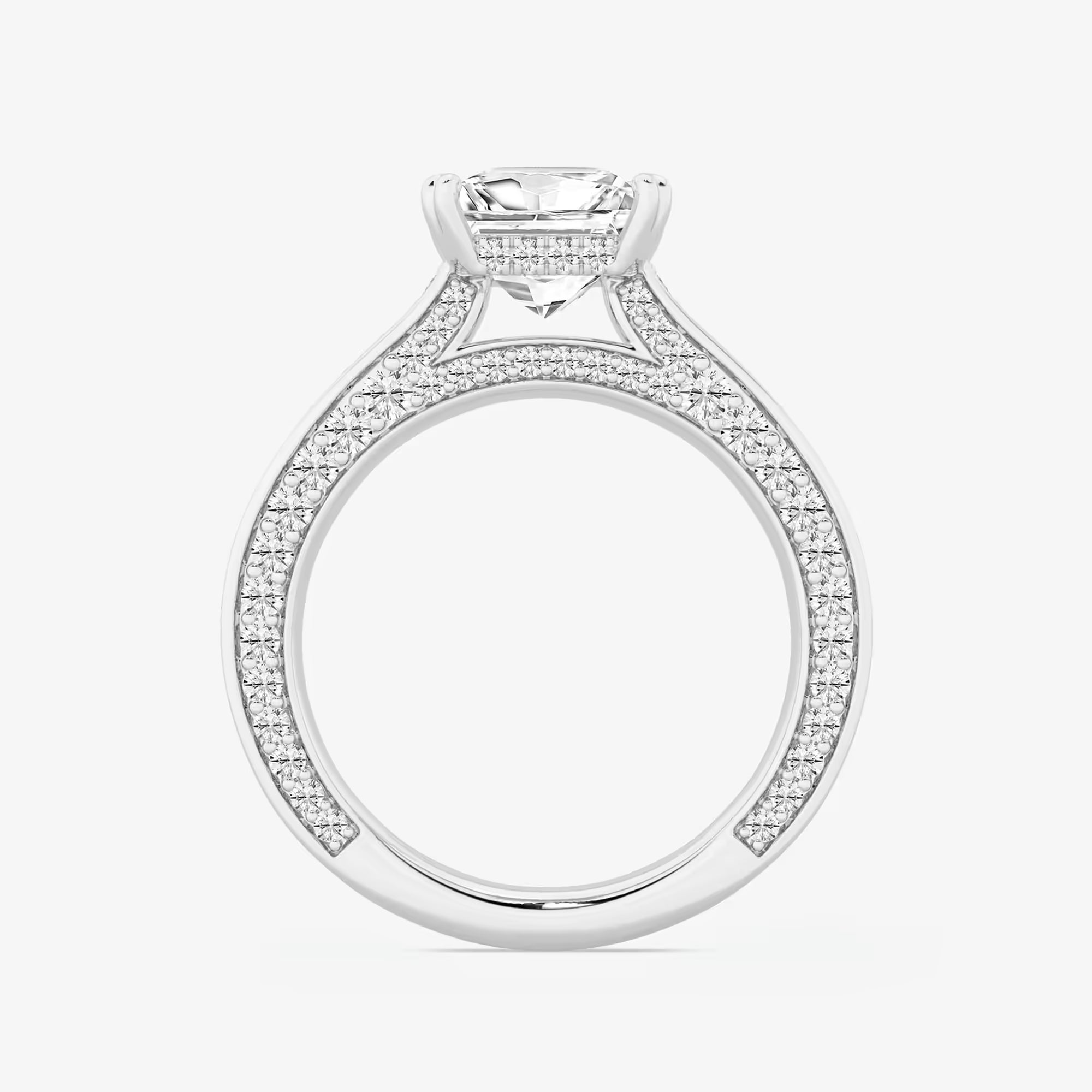 Princess Cut Lab Diamond Engagement Ring  Double Row Pavé Band