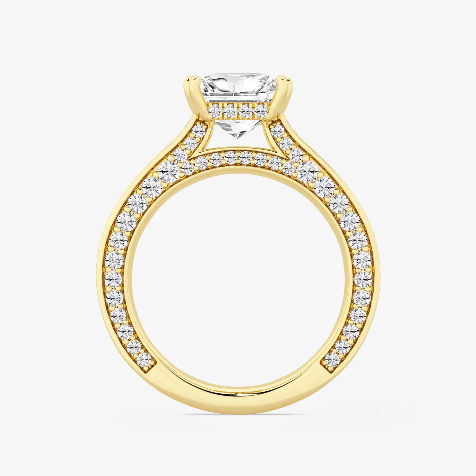 Princess Cut Lab Diamond Engagement Ring  Double Row Pavé Band