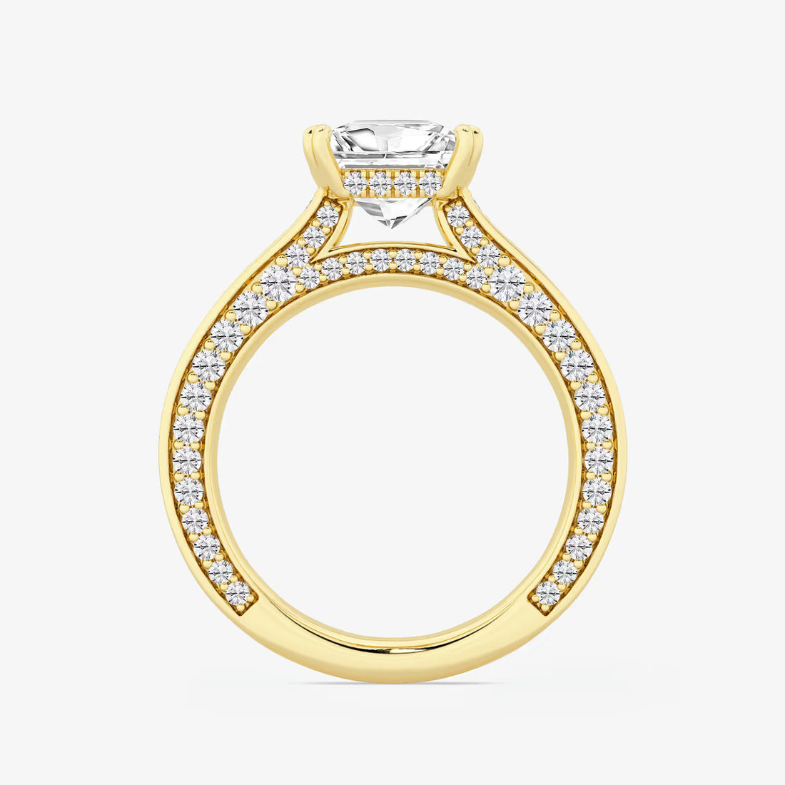 Princess Cut Lab Diamond Engagement Ring  Double Row Pavé Band